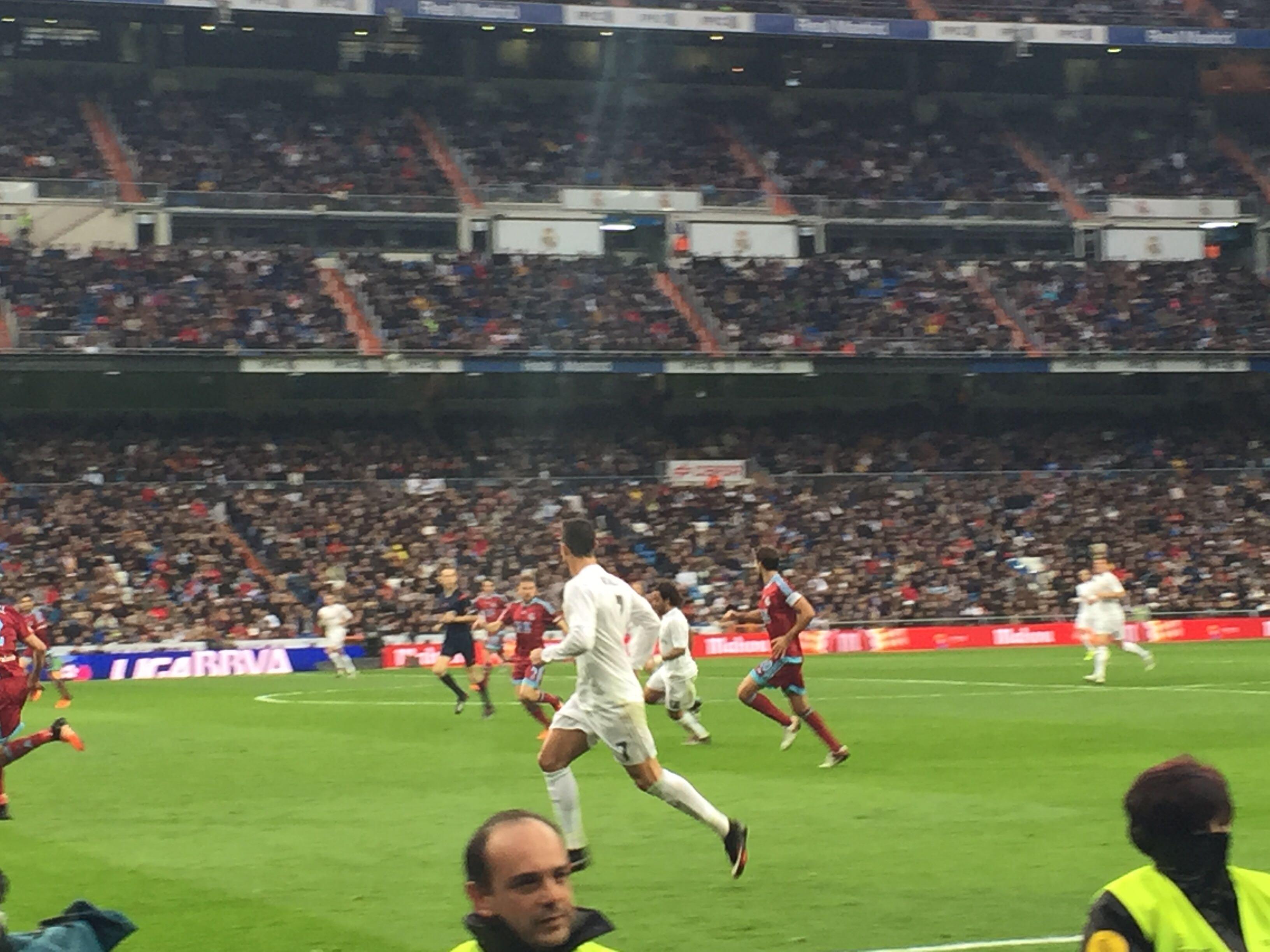 众多乒乓球 众多乒乓球